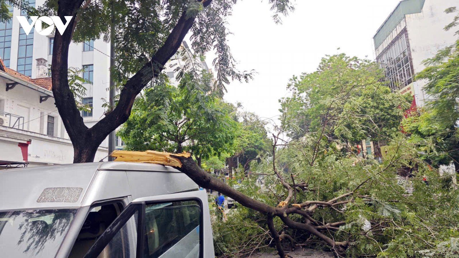 Cành cây lớn gãy đè trúng ô tô trên phố Bà Triệu (Hà Nội) vào giờ cao điểm